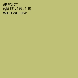 #BFC177 - Wild Willow Color Image